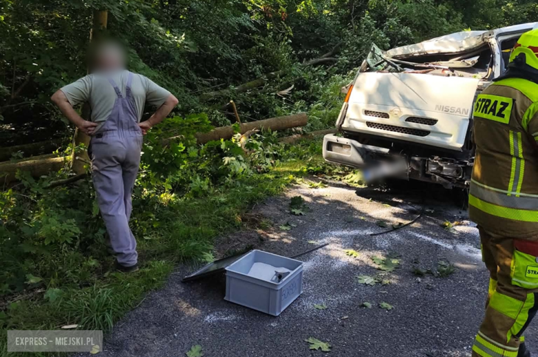 Drzewo spadło na kabinę pojazdu dostawczego. Kierowca w szpitalu