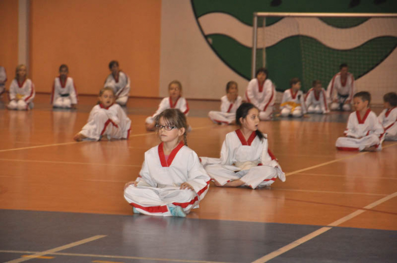 Taekwon-do - Powiat Ząbkowicki wspiera aktywnych