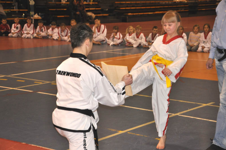 Taekwon-do - Powiat Ząbkowicki wspiera aktywnych