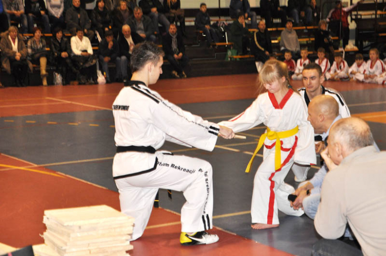 Taekwon-do - Powiat Ząbkowicki wspiera aktywnych