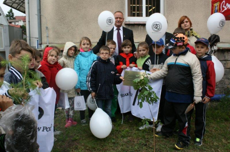 Sadzenie dęba cysterskiego