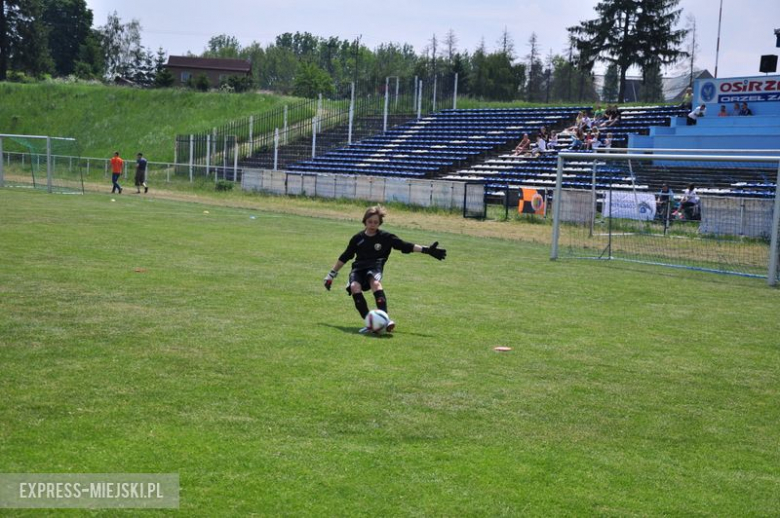 Turniej Stanno Cup o Puchar Krzywej Wieży