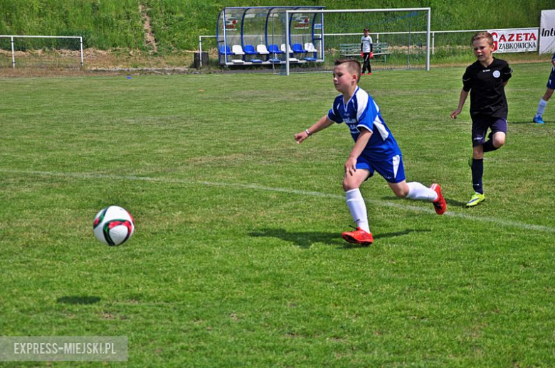 Turniej Stanno Cup o Puchar Krzywej Wieży