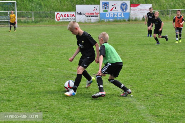 Turniej Stanno Cup o Puchar Krzywej Wieży