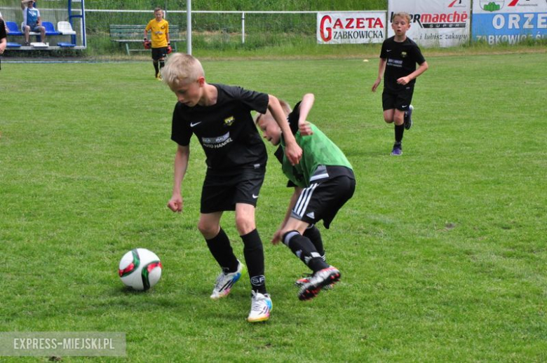 Turniej Stanno Cup o Puchar Krzywej Wieży