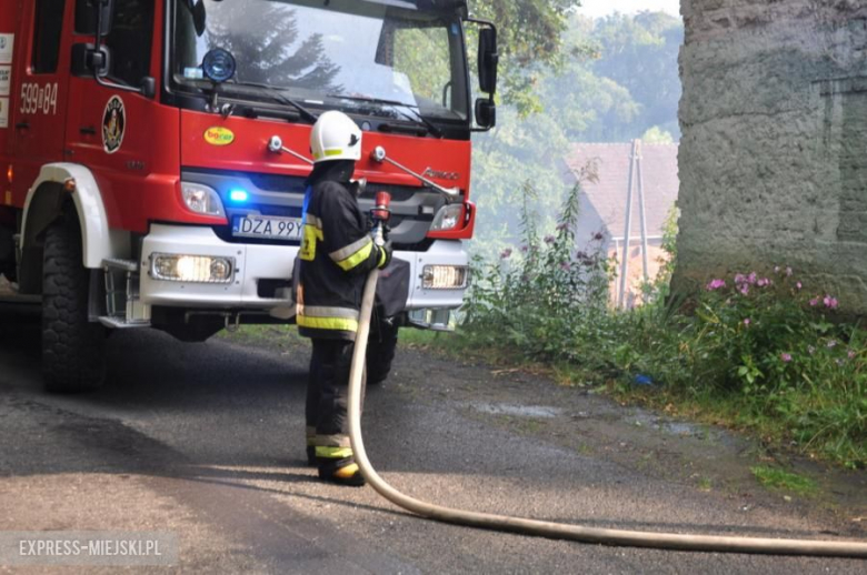 Pożar opuszczonego budynku w Opolnicy