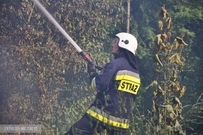 Pożar opuszczonego budynku w Opolnicy