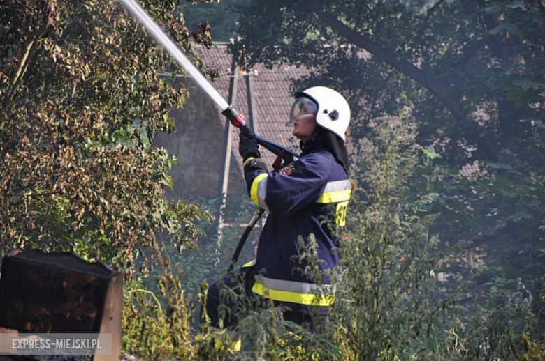 Pożar opuszczonego budynku w Opolnicy