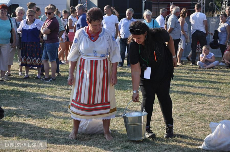 Dożynki gminne w Przedborowej