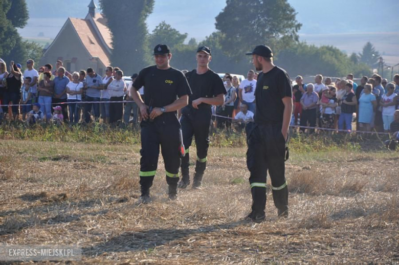 Dożynki gminne w Przedborowej