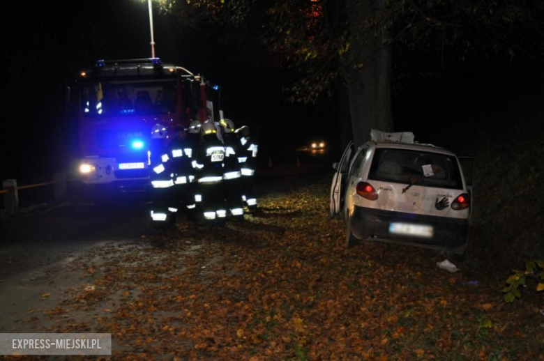 Laski: Zjechał z drogi i uderzył w drzewo