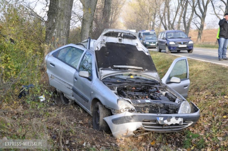 Śmiertelny wypadek. Nie żyje 63-letni kierowca