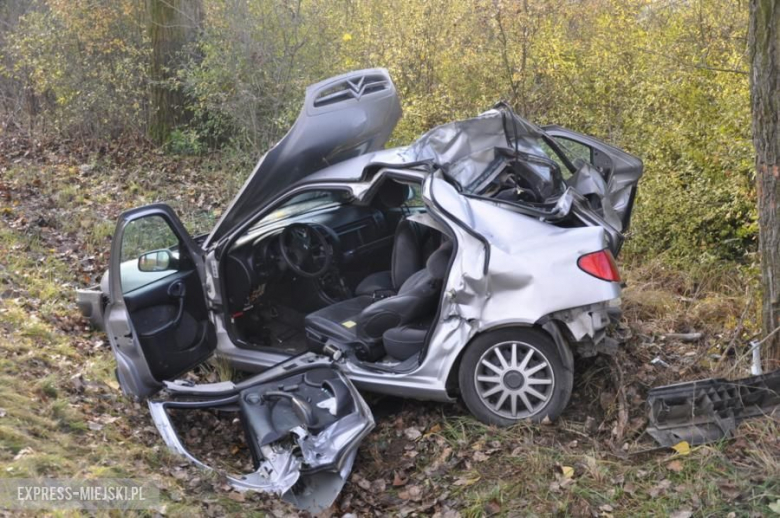 Śmiertelny wypadek. Nie żyje 63-letni kierowca