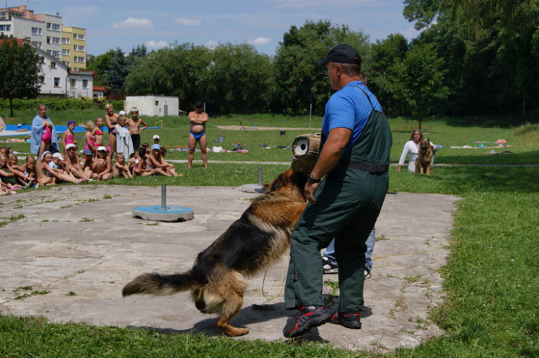 Do końca wakacji już niedaleko