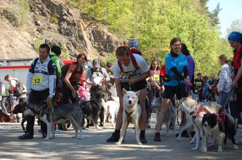 Mistrzostwa Polski w Dogtrekingu