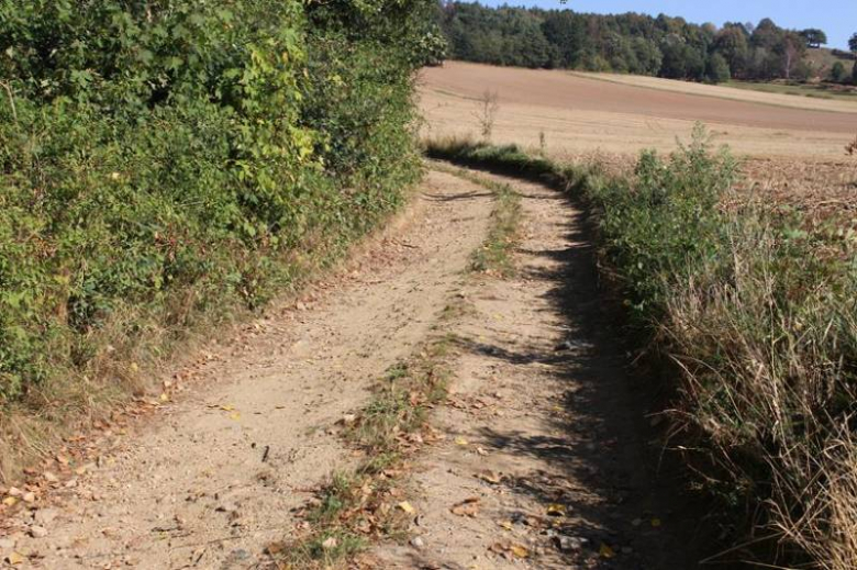 Droga zostanie przebudowana na odcinku 365 metrów