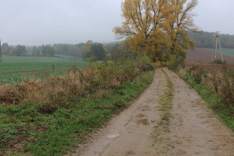 Przekazanie placu budowy wykonawcy