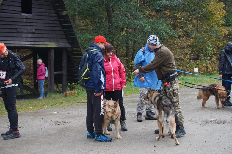 Puchar Polski w Dogtrekkingu