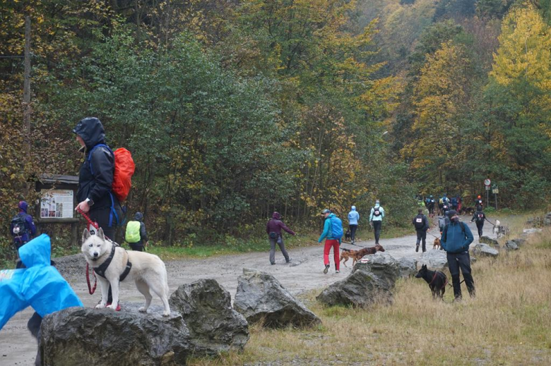 Puchar Polski w Dogtrekkingu