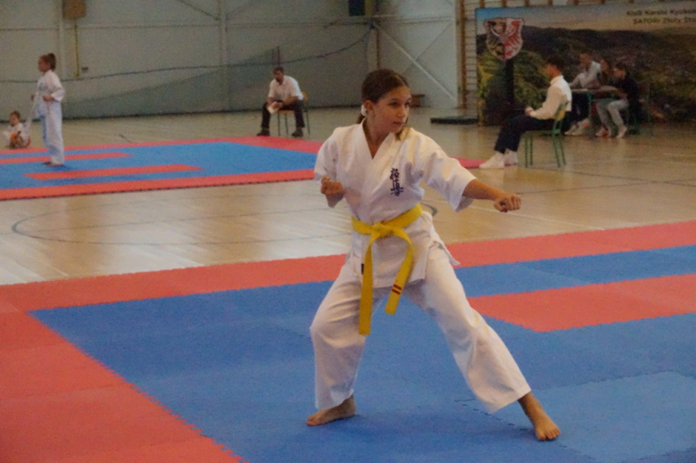 I Międzywojewódzki Turniej Karate Kyokushin w Złotym Stoku o Puchar Gór Złotych