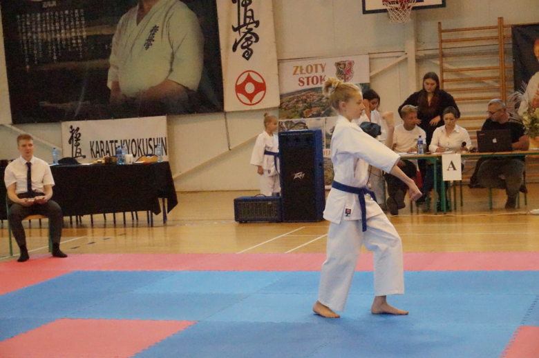 I Międzywojewódzki Turniej Karate Kyokushin w Złotym Stoku o Puchar Gór Złotych