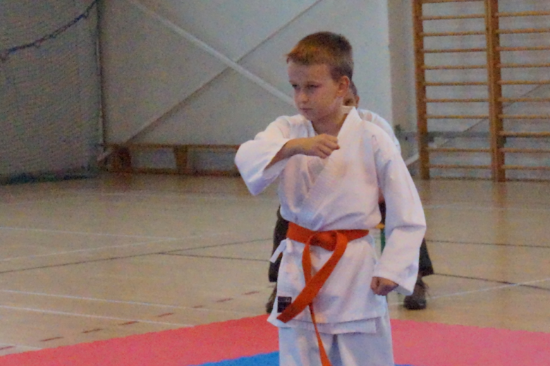 I Międzywojewódzki Turniej Karate Kyokushin w Złotym Stoku o Puchar Gór Złotych