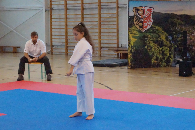 I Międzywojewódzki Turniej Karate Kyokushin w Złotym Stoku o Puchar Gór Złotych