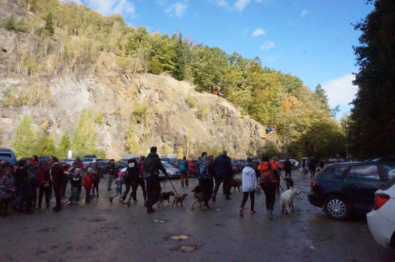 Finał Pucharu Polski w Dogtrekkingu w Złotym Stoku
