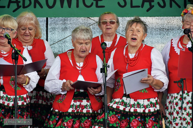 Muzyka, tradycja i turniej sołectw – dożynki gminne w Olbrachcicach Wielkich