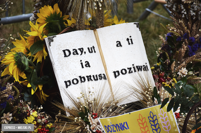 Rolnicy świętowali w Henrykowie. Znamy sołectwo z najładniejszym wieńcem i zasłużonych rolników