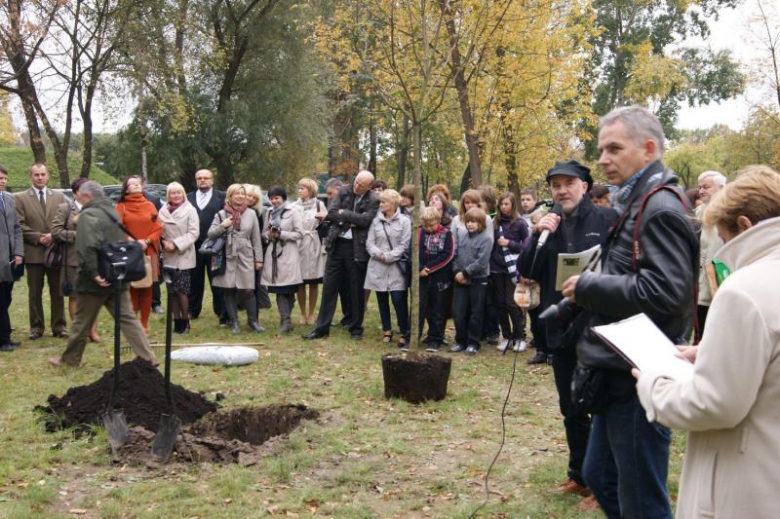 Pegaz dla Ziębic