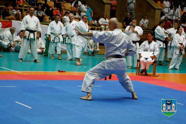 Mistrzostwa Świata w karate 