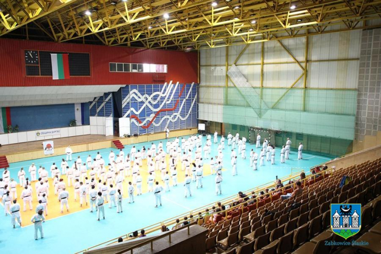 Mistrzostwa Świata w karate 