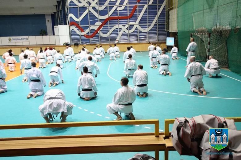 Mistrzostwa Świata w karate 