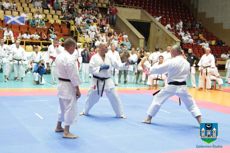 Mistrzostwa Świata w karate 