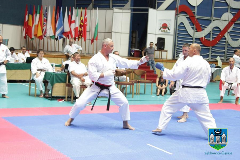 Mistrzostwa Świata w karate 