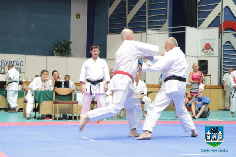 Mistrzostwa Świata w karate 