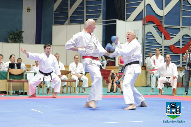 Mistrzostwa Świata w karate 