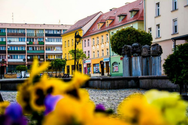 Ząbkowice Śląskie w obiektywie Foto Świra