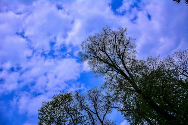 Ząbkowice Śląskie w obiektywie Foto Świra