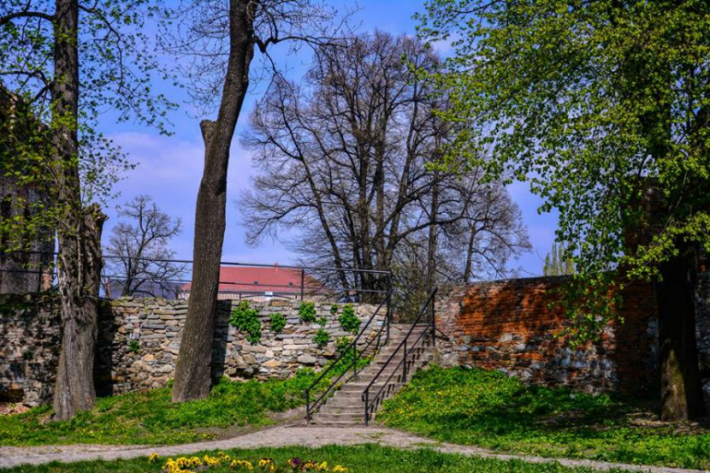 Ząbkowice Śląskie w obiektywie Foto Świra