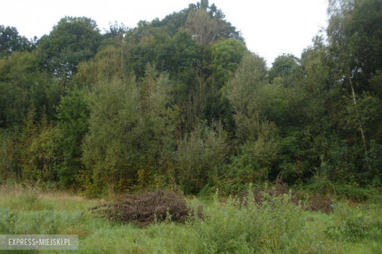 Działki nad trybunami w Bardzie w przyszłości zostaną zagospodarowane, zarówno przez prywatnych mieszkańców jak i gminę