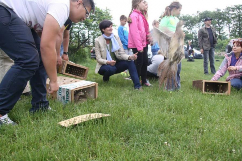 140 bażantów i stadko kuropatw na wolności