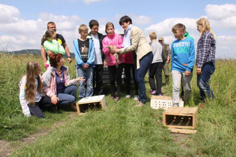 140 bażantów i stadko kuropatw na wolności