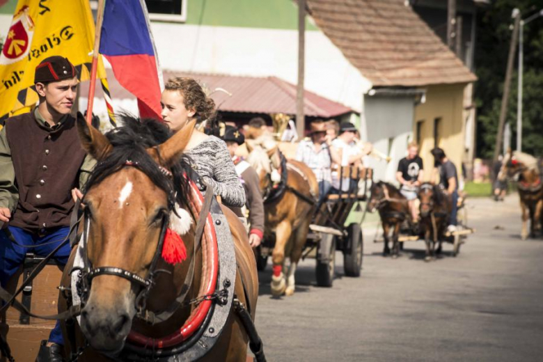 I Parada Zaprzęgów w Złotym Stoku w 2014 roku