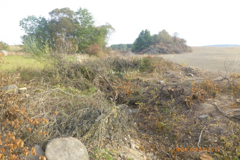 Pierwsze efekty działań Gminnej Spółki Wodnej w Stoszowicach są już widoczne