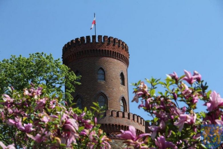 Święto tulipanów w Kamieńcu Ząbkowickim