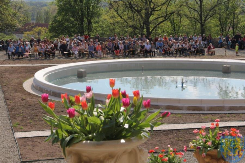 Święto tulipanów w Kamieńcu Ząbkowickim