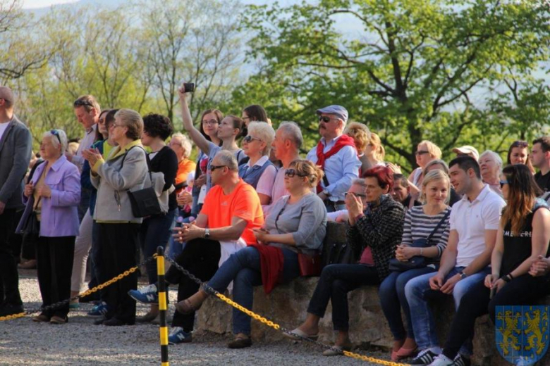 Święto tulipanów w Kamieńcu Ząbkowickim