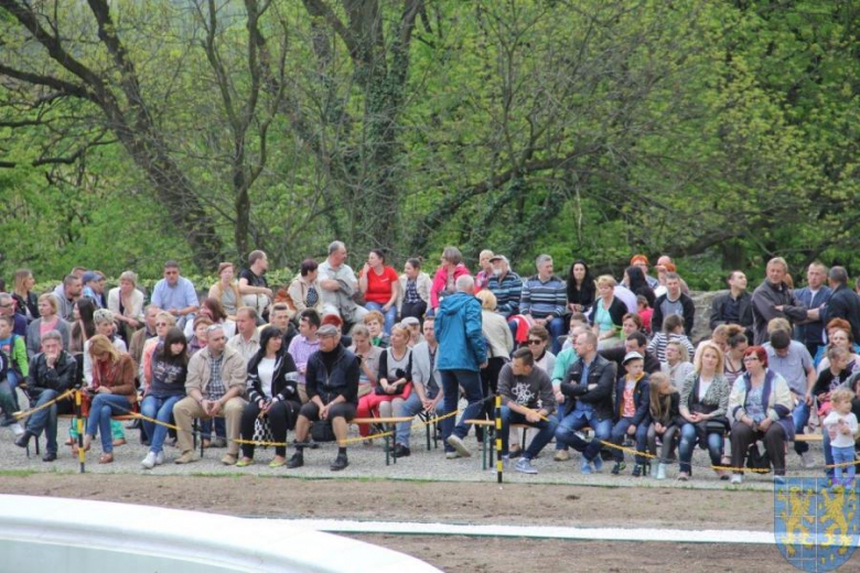 Święto tulipanów w Kamieńcu Ząbkowickim